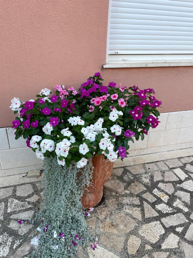 Hotel Apartman Jukic Marina Esterno foto