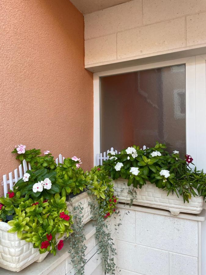 Hotel Apartman Jukic Marina Esterno foto