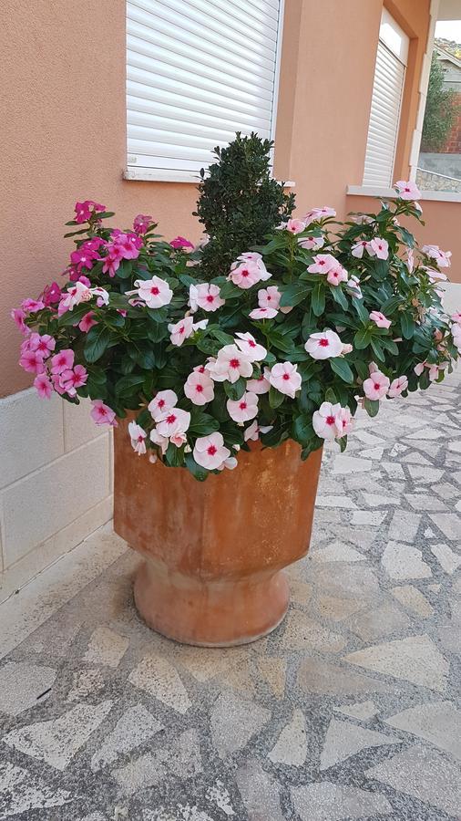 Hotel Apartman Jukic Marina Esterno foto